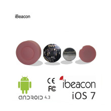 Ibeacon / Beacon programables impermeables de Uuid de Bluetooth